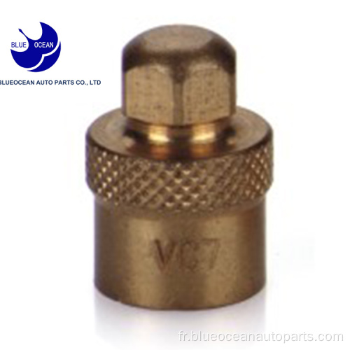 Bouchon de valve de pneu en laiton tube pour voiture universelle